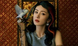 娱乐大爆料胡歌杨幂,娱乐大爆料背后的精彩瞬间